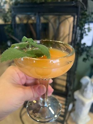 orange kitten sunrise (champagne or club soda, OJ, strawberry, and a sprig of catmint!) at Catnip Café and Lounge in Plant City