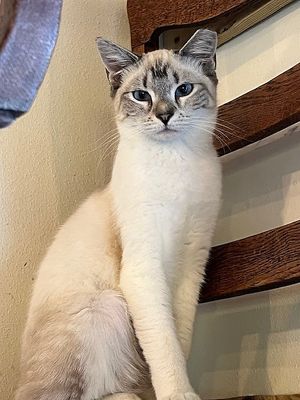  at Catnip Café and Lounge in Plant City