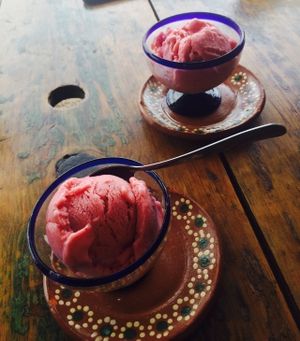 Vegan ice cream  at Vegetariano Mar y Tierra in Tulum