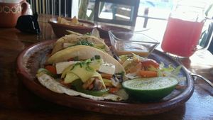 Vegan tacos at Vegetariano Mar y Tierra in Tulum