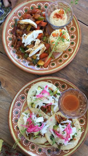 Shamde and vegan tacos at Vegetariano Mar y Tierra in Tulum
