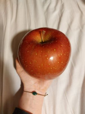 Big apple (500¥) at Juice Stand Bubbles - Shibuya Scramble Square in Tokyo