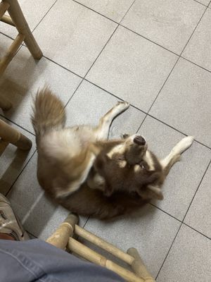   at Tuệ Đăng Quang Vegan Restaurant in Ho Chi Minh City