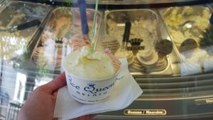 Vegan gelato! at Ice Queen Gelato in Athens