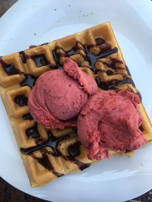 Vegan waffle with raspberry gelato at Ice Queen Gelato in Athens