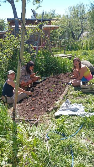 Jardin comestible  at Earthship Patagonia Eco Hostel in El Bolson