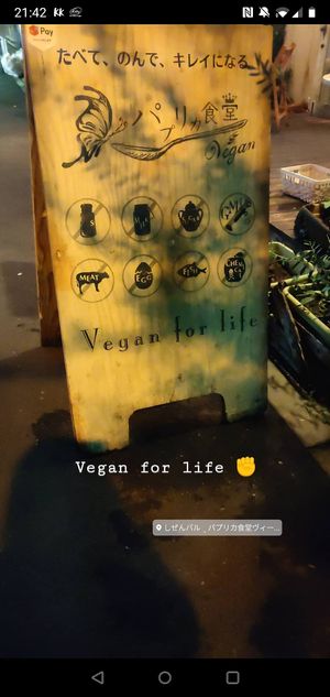 Vegan for life at Paprika Shokudo Vegan in Osaka