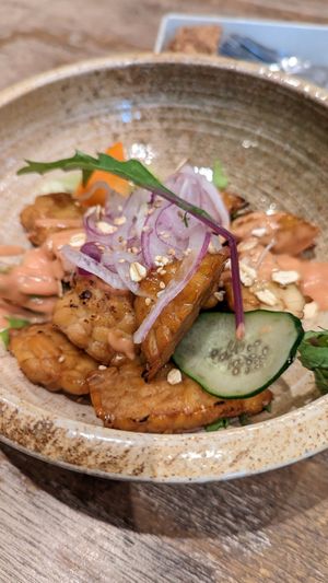 Teriyaki tempeh at Paprika Shokudo Vegan in Osaka