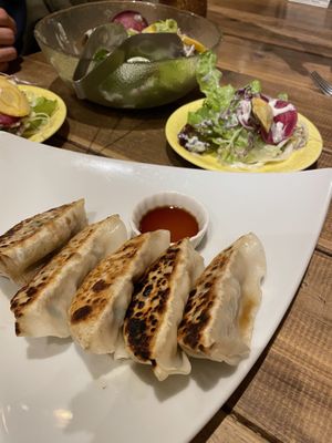 Salad and gyoza  at Paprika Shokudo Vegan in Osaka