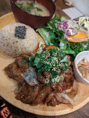  at Paprika Shokudo Vegan in Osaka