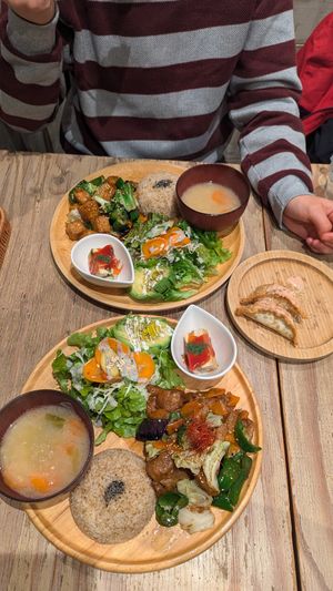 Bunter Teller einmal mit Tempeh und einmal mit Soja-Fleisch plus Gyoza at Paprika Shokudo Vegan in Osaka