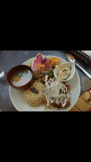 Karage at Paprika Shokudo Vegan in Osaka