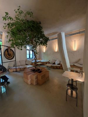  at CCAF Cacao Apothecary Firm in Riga