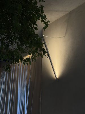   at CCAF Cacao Apothecary Firm in Riga