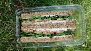 Avocado and vegan cheese sandwich at Cocobeet in Boston