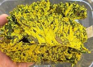 Kale chips   at Cocobeet in Boston