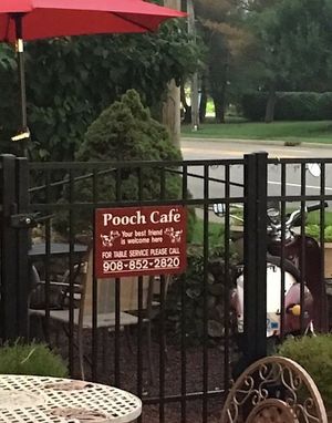 Pooch Cafe at Mama's Restaurant and Baci Cafe in Hackettstown