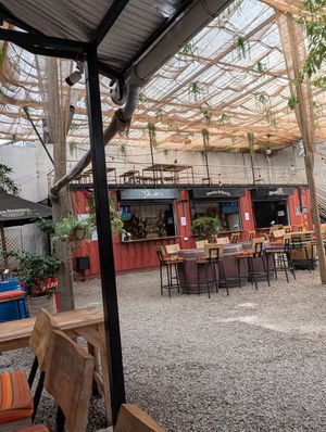  at Hamu Momo  in Nairobi