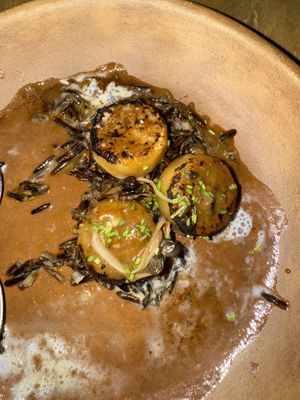 Dichon scallops… oops could wait… only three left before i remembered to take the photo 😂 They were delicious!  at Cósmica Cocina  in Puerto Vallarta