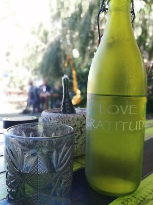 A lovely vibe at New Earth Cafe in Coolum Beach