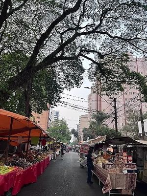 Abre até em dias chuvosos at Feira Livre da Rua Santos in Londrina