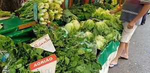 Hortaliças e vegetais at Feira Livre da Rua Santos in Londrina