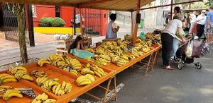 Mais frutas at Feira Livre da Rua Santos in Londrina