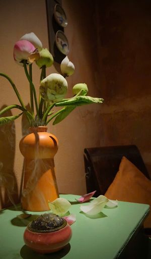  at Yen Homestay & Vegan Macrobiotic in Hoi An