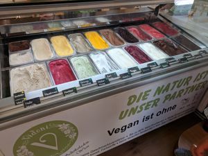 vegan ice cream case, 19 flavors! at The Green Garden in Salzburg