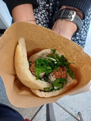  at The Falafel Studio  in Auckland