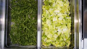 Lettuce and arugula  at Zakee Mediterranean Street Food in Akron