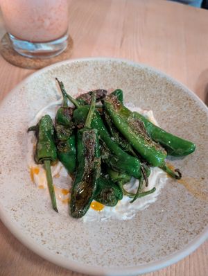  at Paloma in Edinburgh