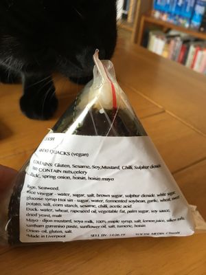 Delicious seaweed triangle! (Plus intrigued cat 😄) at Purple Carrot in Liverpool