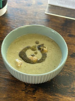   at The Leafy Stop in Wellington