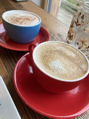   at Dundreggan Rewilding Centre in Inverness