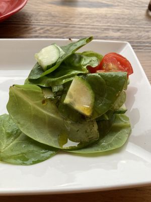   at Dundreggan Rewilding Centre in Inverness