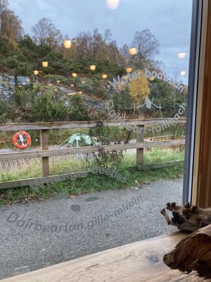   at Dundreggan Rewilding Centre in Inverness