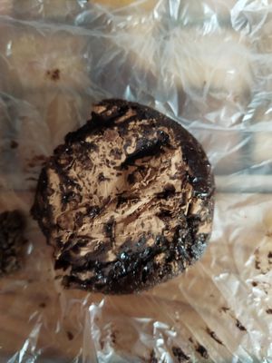 Muffin, está bueno. at Por Siempre Vegana - Food Stall in Mexico City