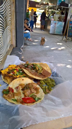 A plateful of tacos at Por Siempre Vegana - Food Stall in Mexico City