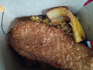 Eggplant Cutlet with Rice and Black Beans at Dominican Garden Cafe in Johnstown