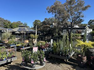   at Rivers of Yarrambat in Yarrambat