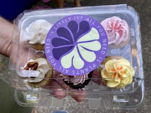   at Likely Ivy in Portland