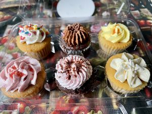   at Likely Ivy in Portland