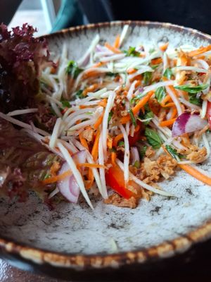 Papaya salad at Moon Restaurant in Altdorf