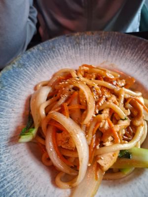 Udon Tofu at Moon Restaurant in Altdorf