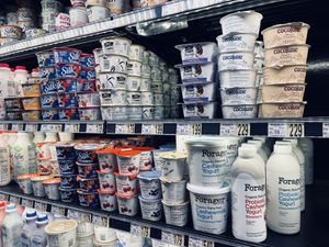 Vegan yogurts  at Wegmans in Rochester