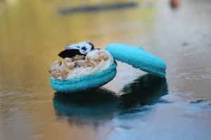 Vegan French Macaron at Organic Livity - Brick Lane in East London