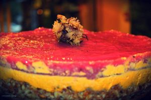 Raw Mansa Musa Diaspora jelly entremet
 at Organic Livity - Brick Lane in East London