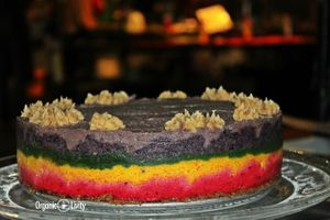 Organic Raw Mighty Rainbow - Anti-cancer  at Organic Livity - Brick Lane in East London