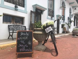 Dodo at Dodo Bon Pan Cafe in Panama City